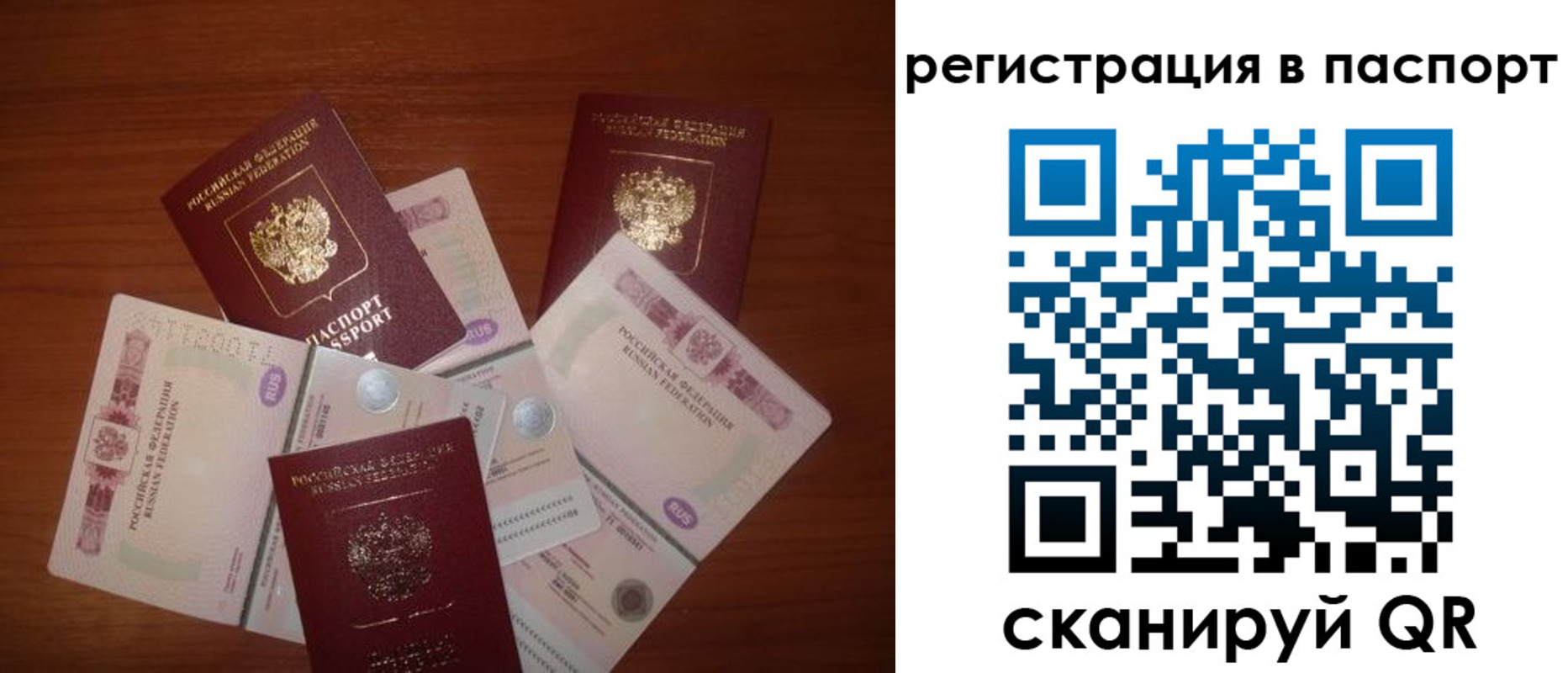 временная регистрация поиск в Приморском крае